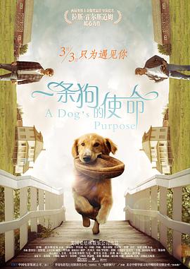 高清主播资源站