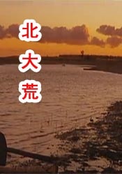 天天综合久久久网